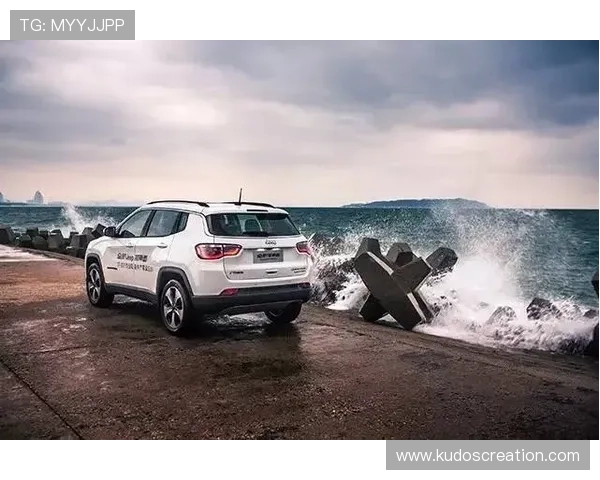 letour大吉普越野车在复杂地形中展现出色的通过能力与稳定性表现