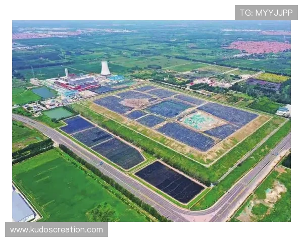 乐投体育公司在2024年的市场布局与未来发展战略探讨